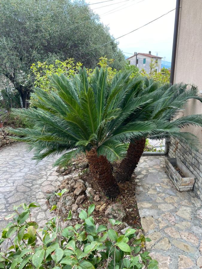 Il Giardino Delle Cycas Apartment Romito Magra Luaran gambar